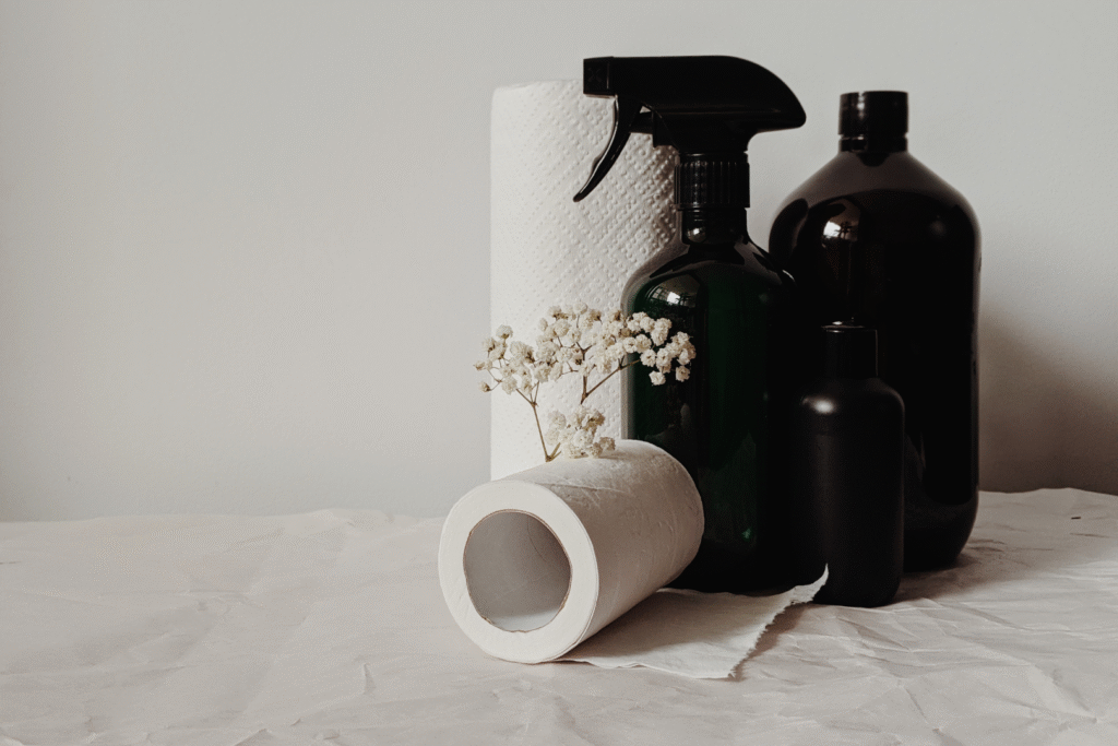 Why Professional Cleaning Matters More Than Ever